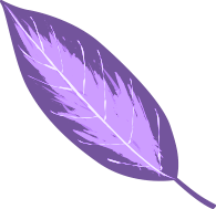 shape