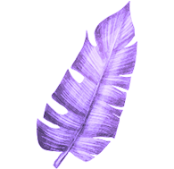 Shape